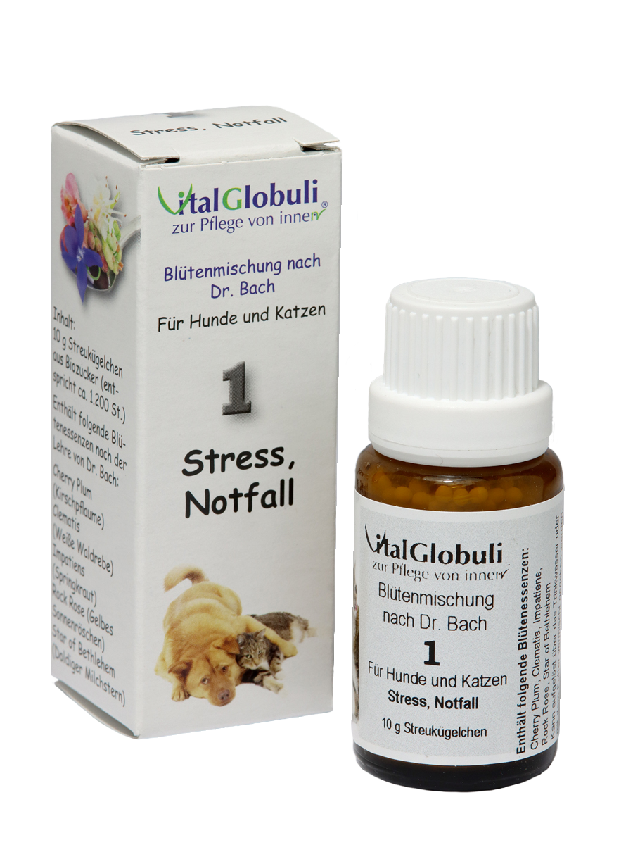 BB Nr. 1 Hund/Katze - Notfall